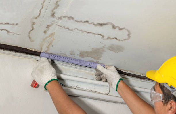 Reliable Basement Water Removal contractor in Fort Belvoir, VA by Water Damage Irwin